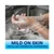 Dawn Professional Manual Pot and Pan Dish Detergent, Liquid Concentrate, 1 Gallon