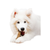 Nylabone NUBZ Dog Chews, 22-count, 2-pack