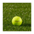 Kirkland Signature V3.0 Yellow Golf Ball, 2-dozen