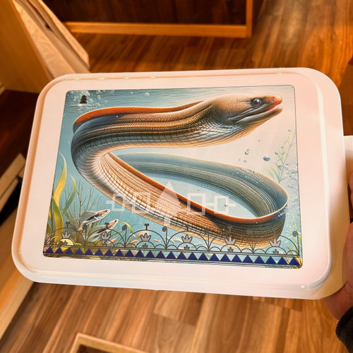 Ceramic Coated Cake Pan - Eel