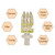 CRYSTAL MULTI NEEDLE (20 PCS)