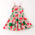 Pink Watermelon Skater Dress