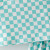 Mint Crush Checkered Skort Set