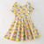 Main Squeeze Twirl Dress