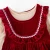 Christmas Wishes Velvet Pinafore Set