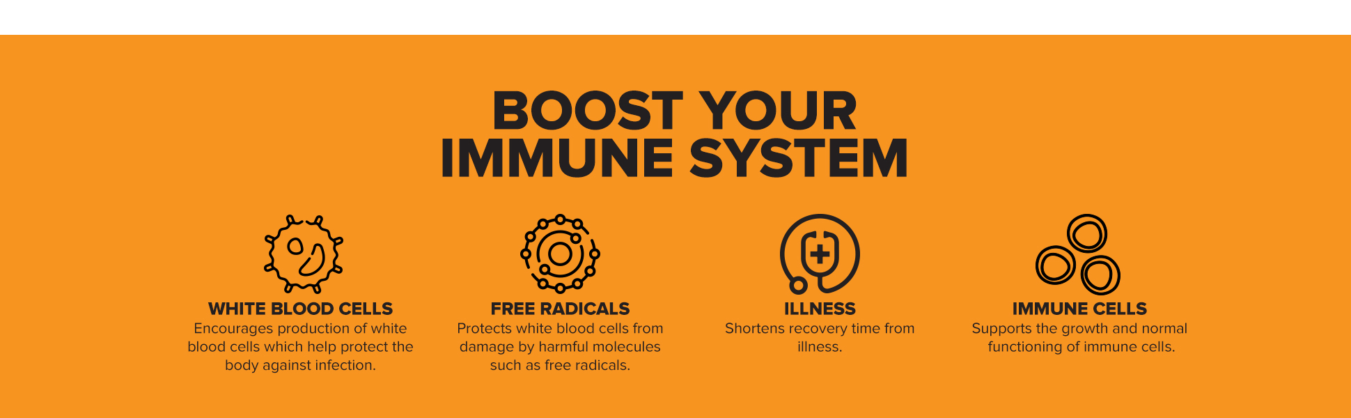 Immune Wealth Banner 3