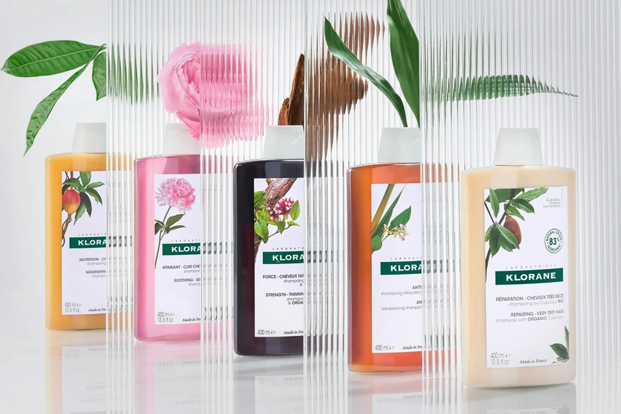 Klorane en Torrejón de Ardoz, Farmacia Olleros