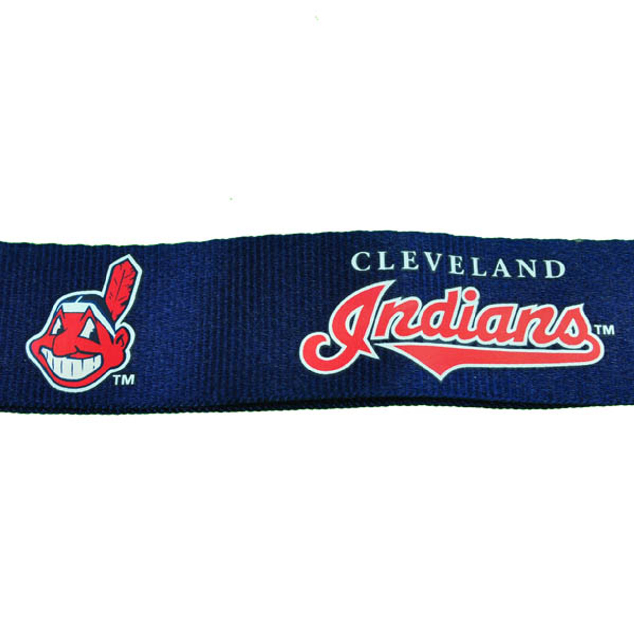  MLB Cleveland Indians LanyardTeam Color Blue, Team