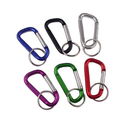 Shop for and Buy Medium Carabiner Keychain at Keyring.com. Large ...