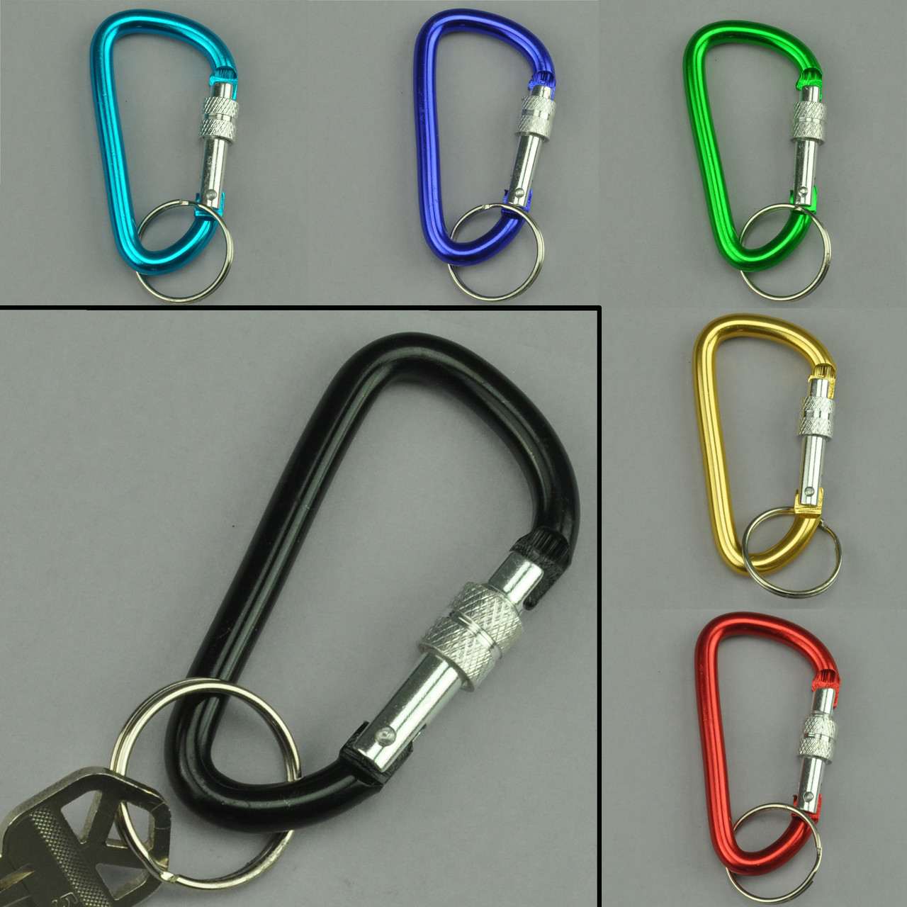 Carabiner Clip Keychain with Lock
