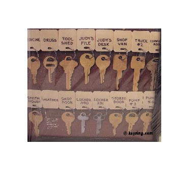 Shop for and Buy 24 Tag Key Organizer Book with Velcro Tags at Keyring