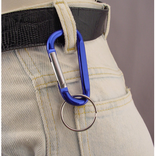 Medium Carabiner Keychain