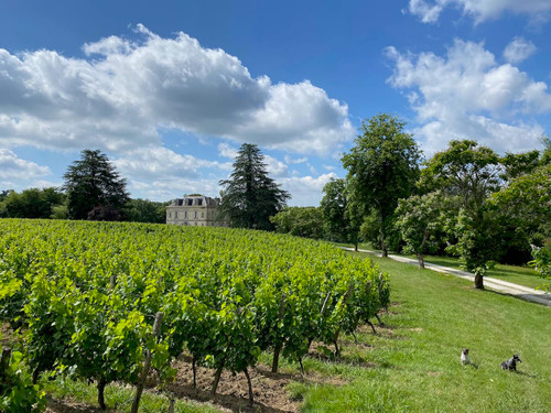 June review, le Tour de France and a photo journal