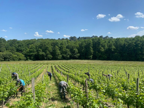  May review and photo journal