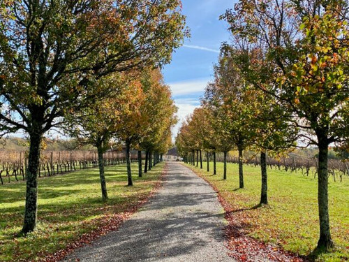 November review and photo journal