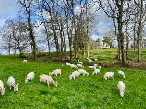 Going green – March photo journal