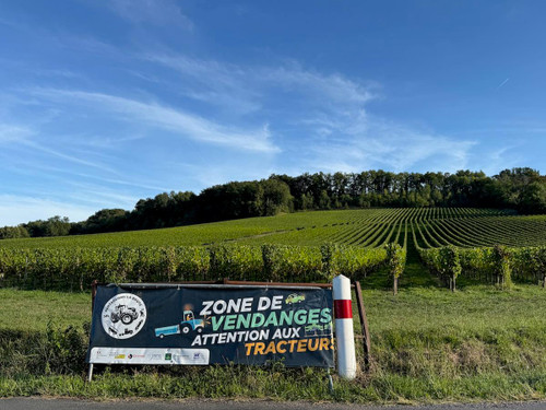 Bordeaux 2025 Weather and Crop Report