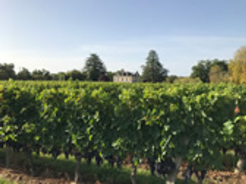August review - Smallest harvest in France? 10 things to bear in mind