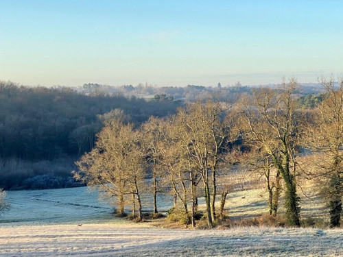 A year in the vineyard A year in the vineyard