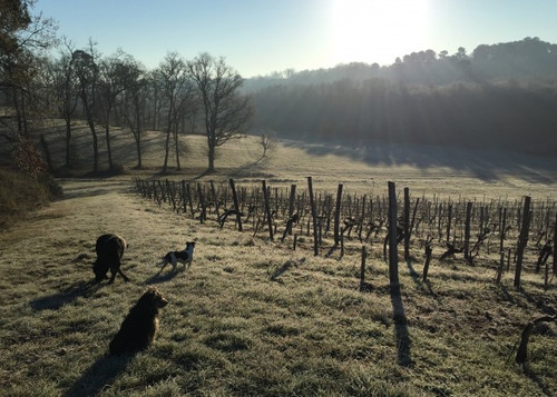 New website and February Review