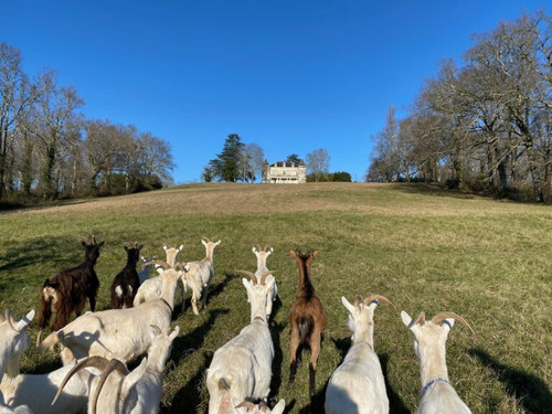 New wines from Friday 5th Feb - and January review