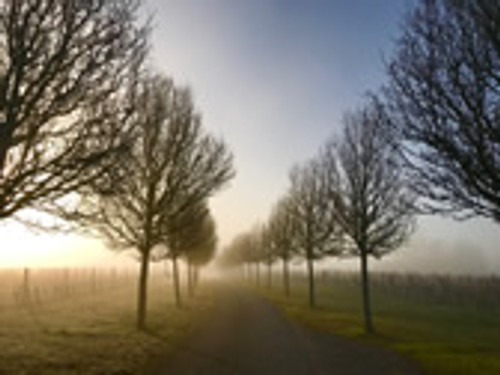 No posing please and other tosh No posing please and other tosh