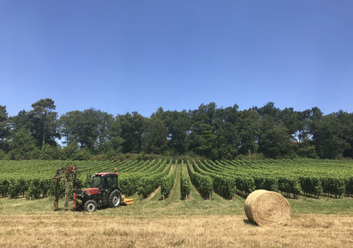 Bordeaux 2019 half term report Bordeaux 2019 half term report