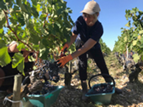 New highs with Bordeaux 2018 - and UK duty: October review New highs with Bordeaux 2018 - and UK duty: October review