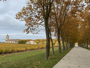 Famous châteaux in autumn