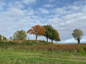 Famous châteaux in autumn