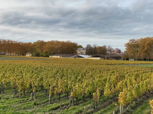 Famous châteaux in autumn