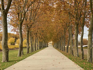 Famous châteaux in autumn