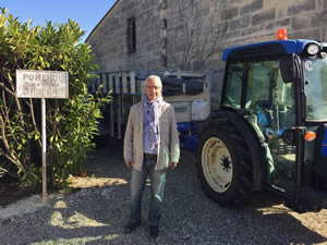 Pomerol vineyards in autumn