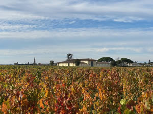 Pomerol vineyards in autumn