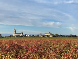 Pomerol vineyards in autumn