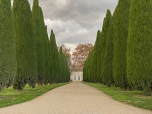 Pomerol vineyards in autumn