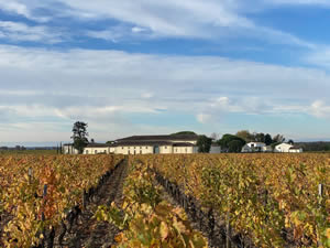 Pomerol vineyards in autumn