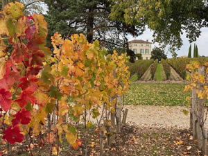 Pomerol vineyards in autumn