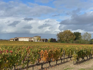 Pomerol vineyards in autumn