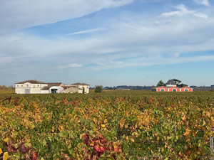 Pomerol vineyards in autumn