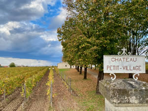 Pomerol vineyards in autumn