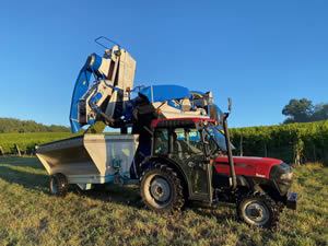 Harvest 2020 - Sauvignon blanc