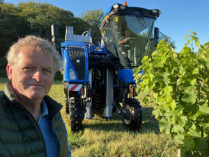 Harvest 2020 - Sauvignon blanc