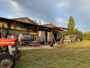 Harvest 2020 - Sauvignon blanc