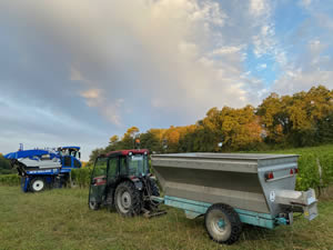 Harvest 2020 - Sauvignon blanc