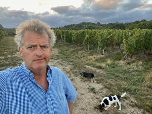 Harvest 2020 - Sauvignon blanc