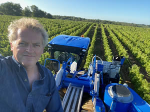 Harvest 2020 - Sauvignon blanc