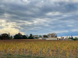 Saint-Émilion vineyards in autumn