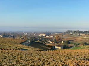 Saint-Émilion vineyards in autumn