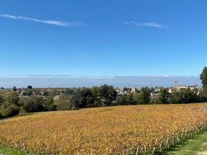 Saint-Émilion vineyards in autumn